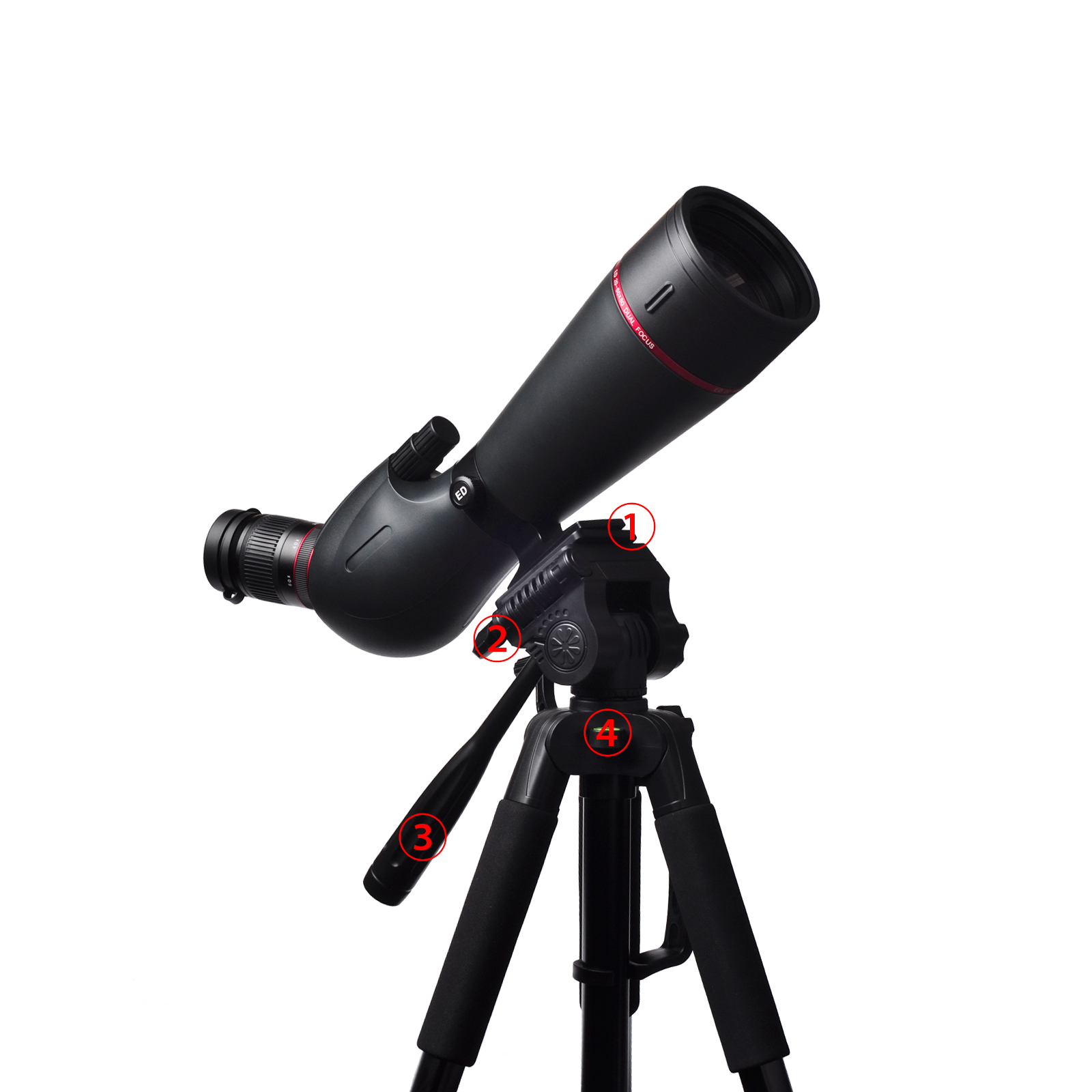GN02 15-45x65 ED Spotting Scope wholesale unit